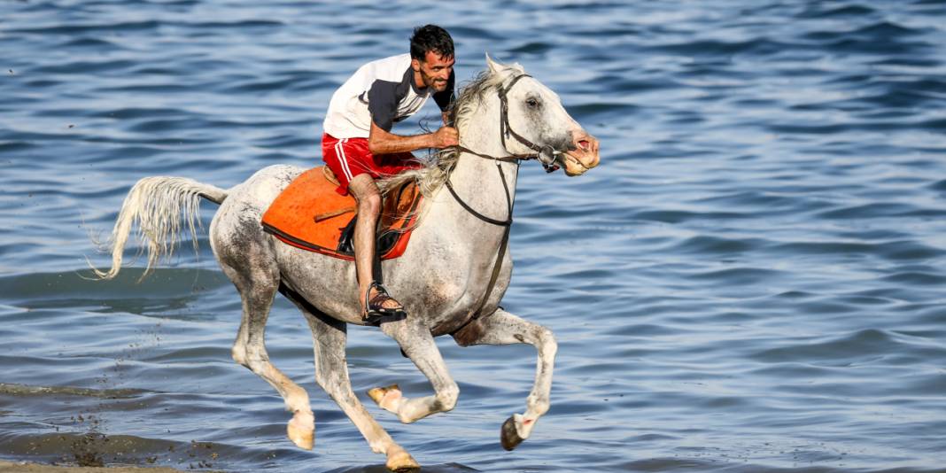 Şampiyon atlara Van Gölü dopingi 1